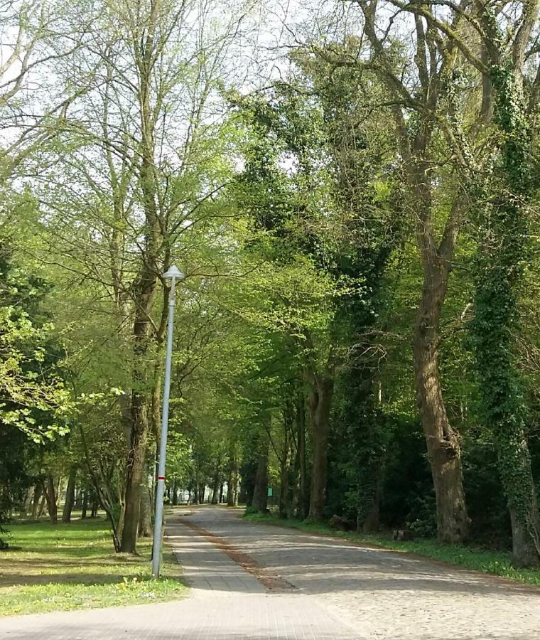 Ferienwohnung "Am Schlosspark" Neetzow ภายนอก รูปภาพ